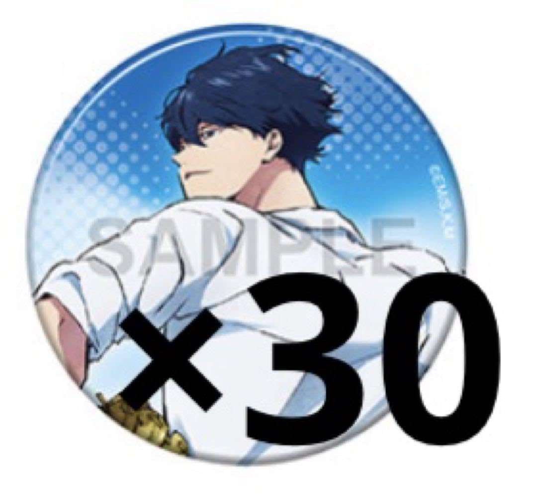 Amazon.co.jp: 忘却バッテリー 清峰 缶バッジ 30点セット : おもちゃ